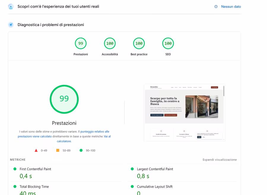 Punteggio PageSpeed di Straneidee: 99 performance, 100 SEO su mobile